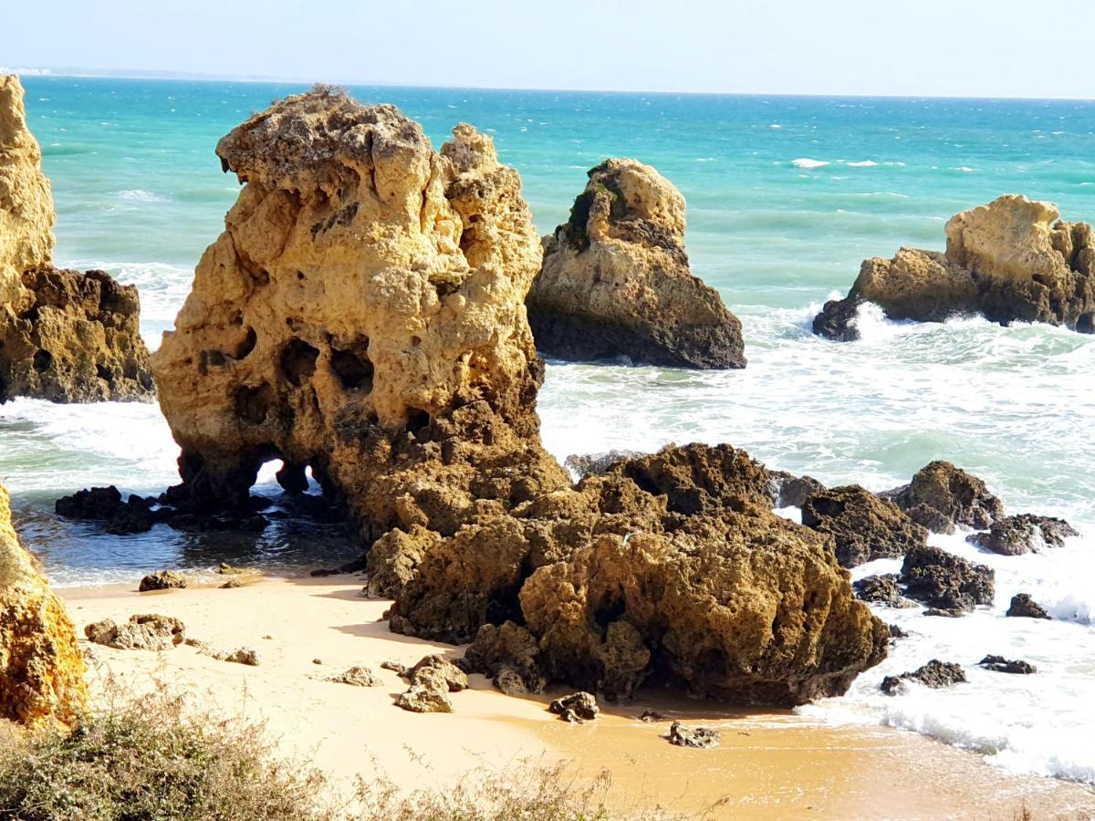Casa de Férias Canameira Beach - *